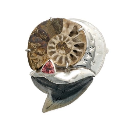 Ammonite Fossil Pin
