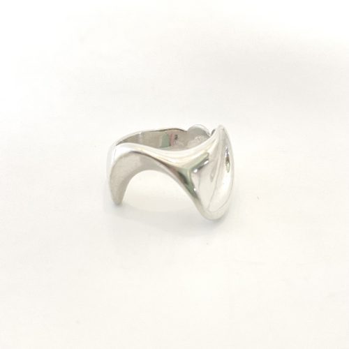 "Transformation Ring"